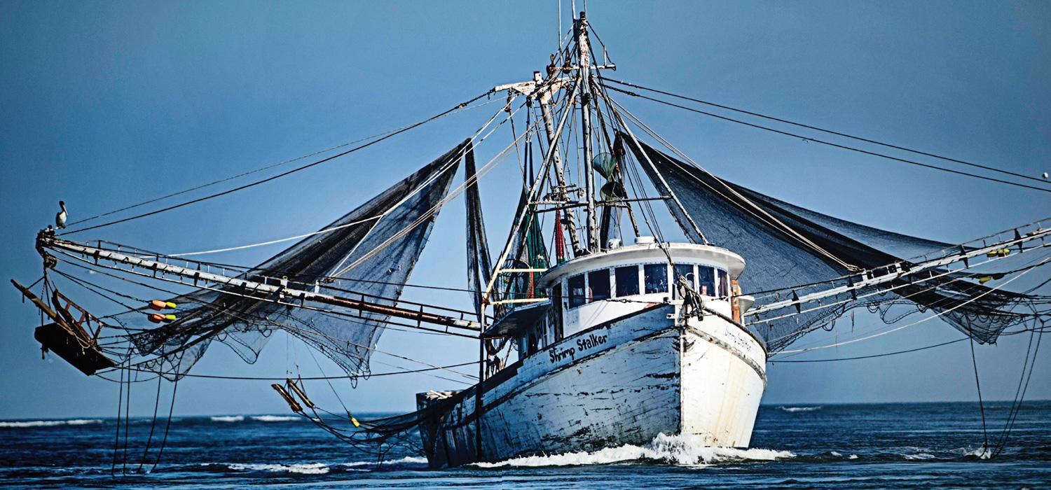 Shrimp Boat